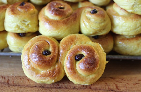 Lussekatt